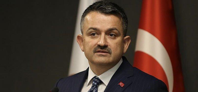 bekir pakdemirli fotograflari 7