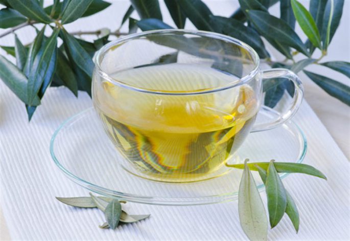 zeytin yaparagi cayi 780x536