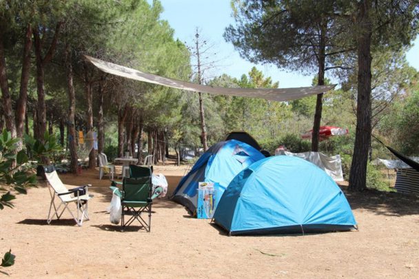 Didim gezilecek yerler rehberi