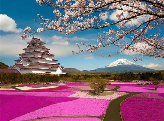 japonya hakkında bilgiler