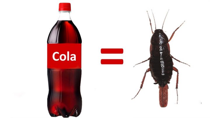 kola içmenin zararları nelerdir?