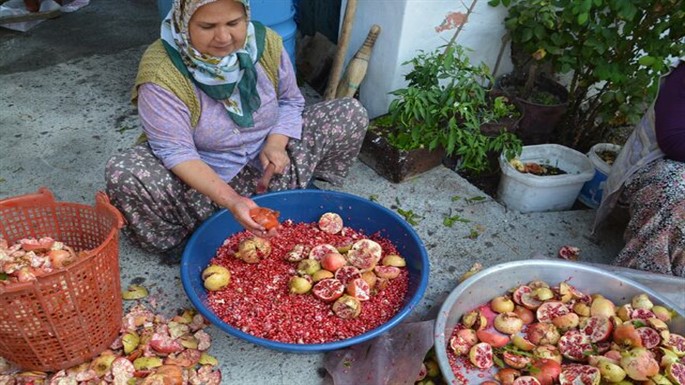 nar eksisi 2