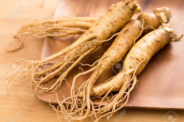 ginseng 1