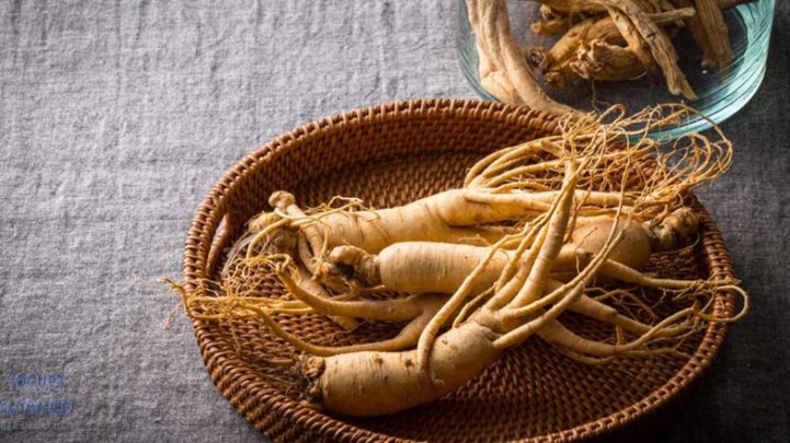 ginseng 2