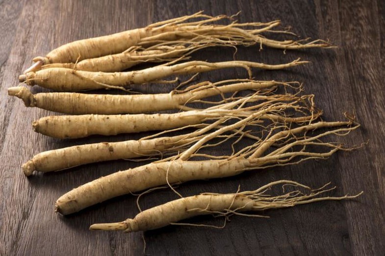ginseng one cikan