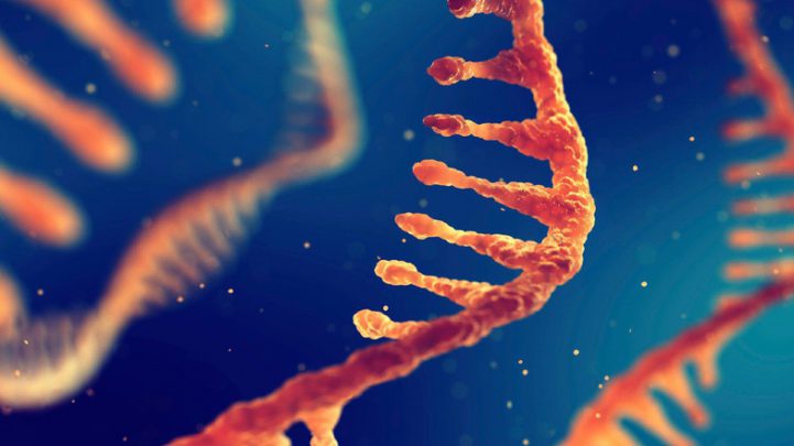 mrna nedir 1
