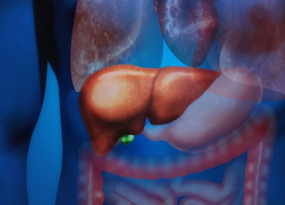 fibroscan nedir faydalari nelerdir4