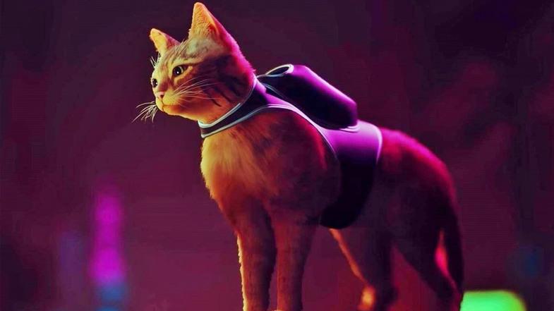 Stray