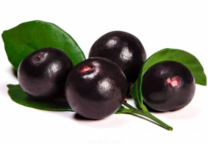 acai berry cayi faydalari nelerdir1