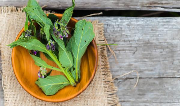 allantoin nedir faydalari nelerdir2