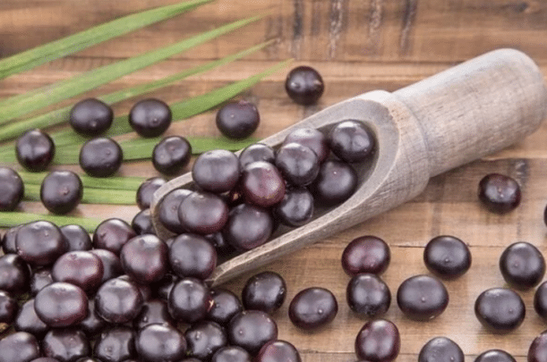 acai yagi nedir faydalari nelerdir1
