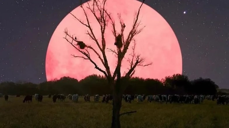 pembe ay dolunayi nedir 1