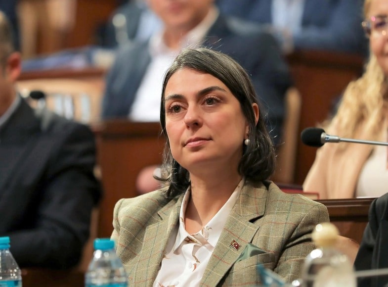 sinem dedetas kimdir 8